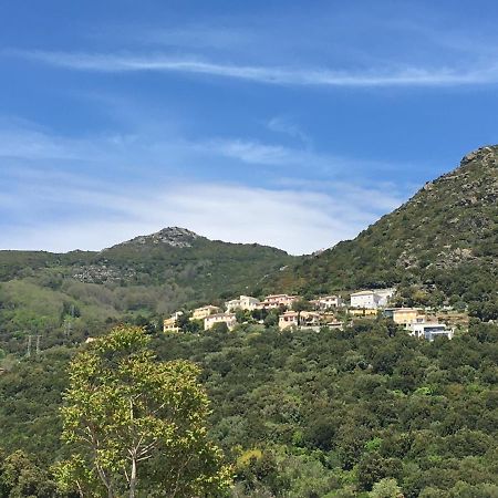 Charmant T2 Hauteurs De Bastia Bastia  Exterior foto