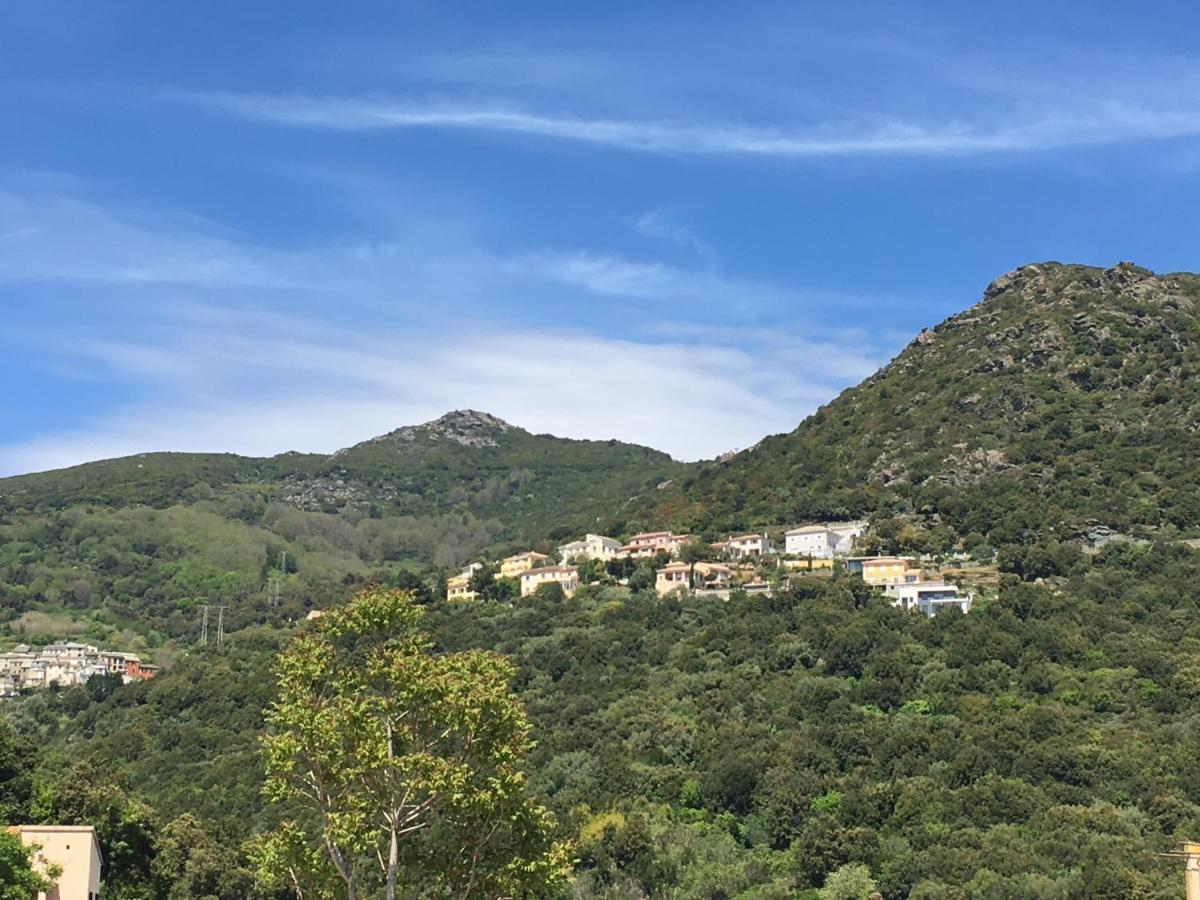 Charmant T2 Hauteurs De Bastia Bastia  Exterior foto